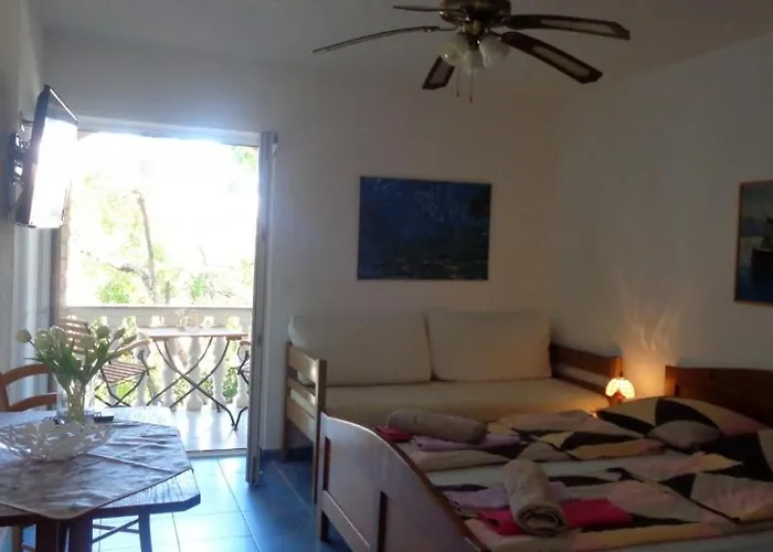 Apartament In With Balcony, Air Conditioning, Wi-fi, Dishwasher Biograd Na Moru